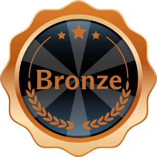 Bronze Award